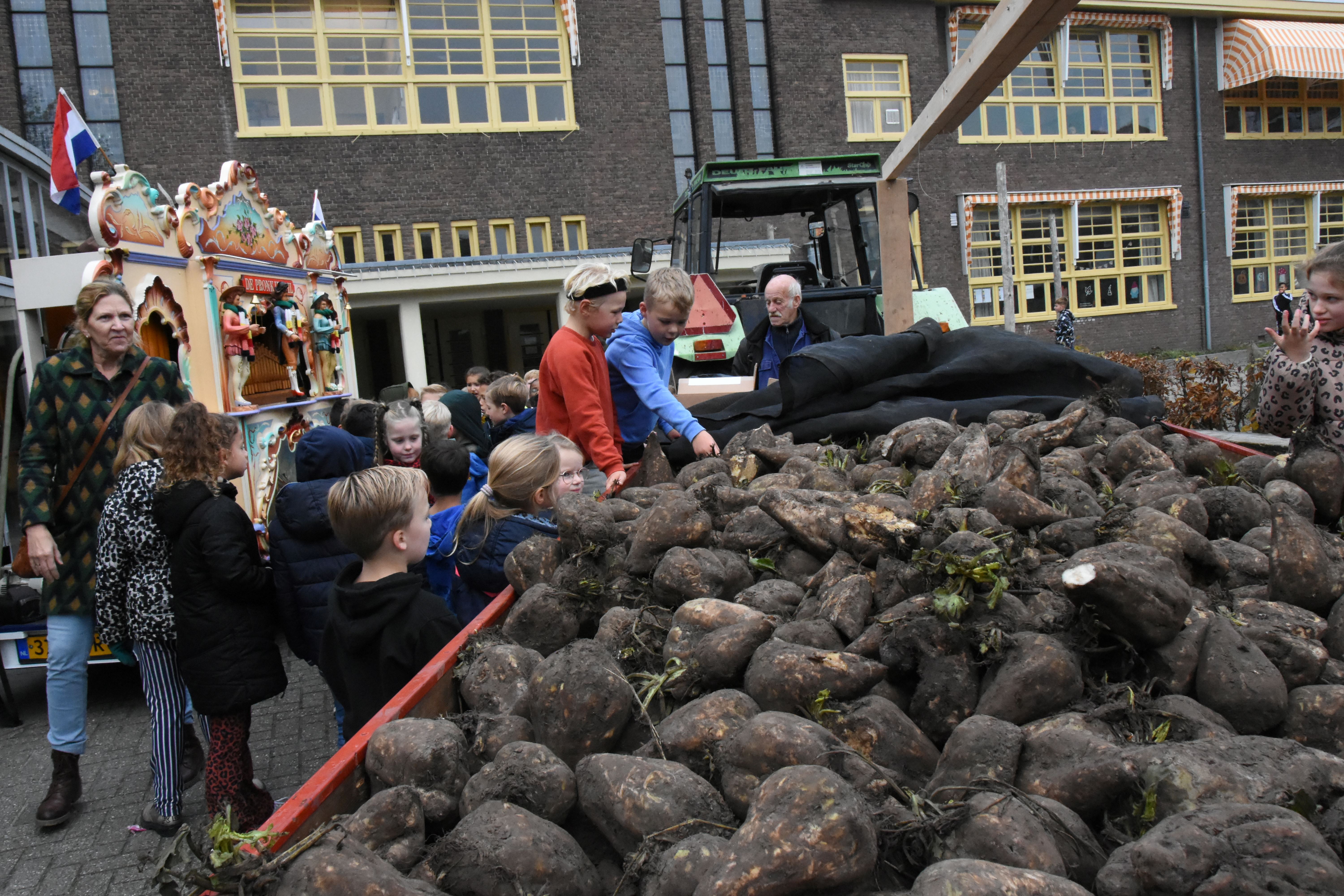 Sint Martinus Voederbieten scholen 2024   HJCB